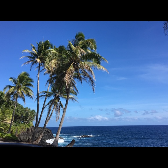 Meet your Posher, Jackie - Picture 1 of 2